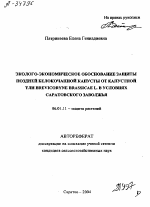 Эколого-экономическое обоснование защиты поздней белокочанной капусты от капустной тли brevicoryne brassicae l. в условиях саратовского Заволжья - тема автореферата по сельскому хозяйству, скачайте бесплатно автореферат диссертации