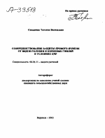 СОВЕРШЕНСТВОВАНИЕ ЗАЩИТЫ ЯРОВОГО ЯЧМЕНЯ ОТ ВИДОВ ГОЛОВНИ И КОРНЕВЫХ ГНИЛЕЙ В УСЛОВИЯХ ЦЧР - тема автореферата по сельскому хозяйству, скачайте бесплатно автореферат диссертации