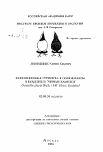 Популяционная структура и полиморфизм в комплексе "Черные каменки" - тема автореферата по биологии, скачайте бесплатно автореферат диссертации