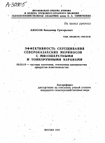 ЭФФЕКТИВНОСТЬ СКРЕЩИВАНИЯ СЕВЕРОКАЗАХСКИХ МЕРИНОСОВ С МЯСОШЕРСТНЫМИ И ТОНКОРУННЫМИ БАРАНАМИ - тема автореферата по сельскому хозяйству, скачайте бесплатно автореферат диссертации