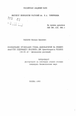 Исследование организации генома цианобактерий на примере desA-ген содержащего фрагмента ДНК Synechocystis PCC6803 - тема автореферата по биологии, скачайте бесплатно автореферат диссертации