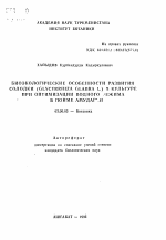 Биоэкологические особенности развития солодки (Glycyrrhiza glabra L.) в культуре при оптимизации водного режима в пойме Амударьи - тема автореферата по биологии, скачайте бесплатно автореферат диссертации