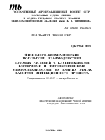 ФИЗИОЛОГО-БИОХИМИЧЕСКИЕ ПОКАЗАТЕЛИ ВЗАИМОДЕЙСТВИЯ БОБОВЫХ РАСТЕНИЙ С КЛУБЕНЬКОВЫМИ БАКТЕРИЯМИ И ФИТОПАТОГЕННЫМИ МИКРООРГАНИЗМАМИ НА РАННИХ ЭТАПАХ РАЗВИТИЯ ИНФЕКЦИОННОГО ПРОЦЕССА - тема автореферата по биологии, скачайте бесплатно автореферат диссертации