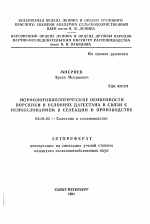 Морфологобиологические особенности ворсянки в условиях Дагестана в связи с использованием в селекции и производстве - тема автореферата по сельскому хозяйству, скачайте бесплатно автореферат диссертации