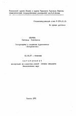 Гетерокарпия в семействе бурачниковых (Boraginacese) - тема автореферата по биологии, скачайте бесплатно автореферат диссертации