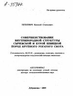 СОВЕРШЕНСТВОВАНИЕ ВНУТРИПОРОДНОЙ СТРУКТУРЫ СЫЧЕВСКОИ И БУРОЙ ШВИЦКОЙ ПОРОД КРУПНОГО РОГАТОГО СКОТА - тема автореферата по сельскому хозяйству, скачайте бесплатно автореферат диссертации