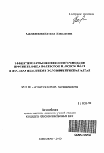 Эффективность применения гербицидов против вьюнка полевого в паровом поле и посевах пшеницы в условиях Приобья Алтая - тема автореферата по сельскому хозяйству, скачайте бесплатно автореферат диссертации