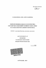 Морфофункциональная характеристика сосудистых сплетений головного мозга крыс на этапах постнатального онтогенеза - тема автореферата по биологии, скачайте бесплатно автореферат диссертации