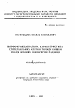 Морфофункциональная характеристика эпителиальных клеток тонкой кишки после воздействия ионизирующей радиации - тема автореферата по биологии, скачайте бесплатно автореферат диссертации