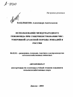 ИСПОЛЬЗОВАНИЕ МЕЖДУНАРОДНОГО ГЕНОФОНДА ПРИ СОВЕРШЕНСТВОВАНИИ ЧИС­ТОКРОВНОЙ АРАБСКОЙ ПОРОДЫ ЛОШАДЕЙ В РОССИИ - тема автореферата по сельскому хозяйству, скачайте бесплатно автореферат диссертации