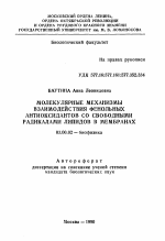 Молекулярные механизмы взаимодействия фенольных антиоксидантов со свободными радикалами липидов в мембранных системах - тема автореферата по биологии, скачайте бесплатно автореферат диссертации