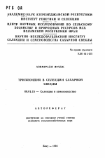 Триплоидия в селекции сахарной свеклы - тема автореферата по сельскому хозяйству, скачайте бесплатно автореферат диссертации