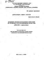 ВЛИЯНИЕ УРОВНЯ ФОСФОРНОГО ПИТАНИЯ НА УРОЖАИ И СОСТАВ ЛИПИДОВ ЗЕРНА СОИ - тема автореферата по сельскому хозяйству, скачайте бесплатно автореферат диссертации