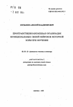 Пространственно-временная организация функциональных связей нейронов моторной коры при обучении - тема автореферата по биологии, скачайте бесплатно автореферат диссертации