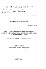 Конструирование гена одноцепочечных антител к ферритину человека и его экспрессия в бактериальных клетках - тема автореферата по биологии, скачайте бесплатно автореферат диссертации