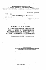 Процессы миграции и трансформация стронция фосфогипса в техногенных мелиорируемых ландшафтах Сало-Манычского водораздела - тема автореферата по биологии, скачайте бесплатно автореферат диссертации