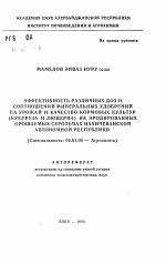 Эффективность различных доз и соотношений минеральных удобрений на урожай и качество кормовых культур (кукуруза и люцерна) на эродированных орошаемых сероземах Нахичеванской автономной республики - тема автореферата по сельскому хозяйству, скачайте бесплатно автореферат диссертации