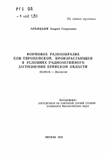 Формовое разнообразие ели европейской, произрастающей в условиях радиоактивного загрязнения Брянской области - тема автореферата по биологии, скачайте бесплатно автореферат диссертации