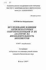 Исследование влияния антисигнатурных олигонуклеотидов и их аналогов на жизнедеятельность молликутов - тема автореферата по биологии, скачайте бесплатно автореферат диссертации