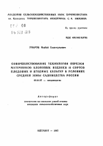 Совершенствование технологии обрезки маточников клоновых подвоев и сортов плодовых и ягодных культур в условиях Средней зоны садоводства России - тема автореферата по сельскому хозяйству, скачайте бесплатно автореферат диссертации