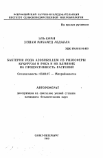 Бактерии рода AZOSPIRILLUM из ризосферы кукурузы и риса и их влияние на продуктивность растений - тема автореферата по биологии, скачайте бесплатно автореферат диссертации