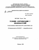 УСЛОВИЯ АЗОТФИКСАЦИИ У ЦИАНОБАКТЕРИЙ PLECTONEMA BORYANUM И GLOEOTHECE SP. - тема автореферата по биологии, скачайте бесплатно автореферат диссертации