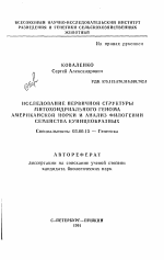 Исследование первичной структуры митохондриального генома американской норки и анализ филогении семейства куницеобразных - тема автореферата по биологии, скачайте бесплатно автореферат диссертации