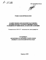 ХОЗЯЙСТВЕННО-БИОЛОГИЧЕСКАЯ ОЦЕНКА ПОЗДНЕСПЕЛЫХ СОРТОВ И ЭЛИТНЫХ ФОРМ ОБЛЕПИХИ КРУШИНОВОЙ АЛТАЙСКОЙ СЕЛЕКЦИИ - тема автореферата по сельскому хозяйству, скачайте бесплатно автореферат диссертации