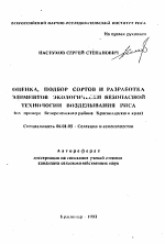 Оценка, подбор сортов и разработка элементов экологически безопасной технологии возделывания риса (на примере Белореченского района Краснодарского края) - тема автореферата по сельскому хозяйству, скачайте бесплатно автореферат диссертации