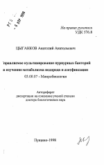 Управляемое культивирование пурпурных бактерий в изучении метаболизма водорода и азотфиксации - тема автореферата по биологии, скачайте бесплатно автореферат диссертации