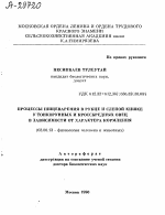 ПРОЦЕССЫ ПИЩЕВАРЕНИЯ В РУБЦЕ И СЛЕПОЙ КИШКЕ У ТОНКОРУННЫХ И КРОССБРЕДНЫХ ОВЕЦ В ЗАВИСИМОСТИ ОТ ХАРАКТЕРА КОРМЛЕНИЯ - тема автореферата по биологии, скачайте бесплатно автореферат диссертации