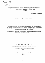 Хозяйственно-полезные качества и некоторые биологические особенности создаваемых типов и линий свиней в Сибири - тема автореферата по сельскому хозяйству, скачайте бесплатно автореферат диссертации