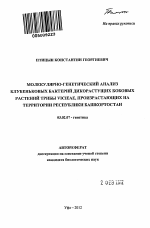 Молекулярно-генетический анализ клубеньковых бактерий дикорастущих бобовых растений трибы Vicieae, произрастающих на территории Республики Башкортостан - тема автореферата по биологии, скачайте бесплатно автореферат диссертации