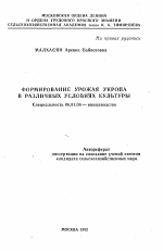 Формирование урожая укропа в различных условиях культуры - тема автореферата по сельскому хозяйству, скачайте бесплатно автореферат диссертации