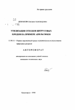 Утилизация отходов цитрусовых плодов на примере апельсинов - тема автореферата по географии, скачайте бесплатно автореферат диссертации