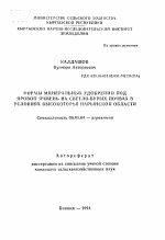 Формы минеральных удобрений под яровой ячмень на светло-бурых почвах в условиях высокогорья Нарынской области - тема автореферата по сельскому хозяйству, скачайте бесплатно автореферат диссертации