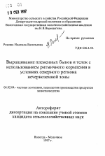 Выращивание племенных быков и телок с использованием ритмичного кормления в условиях северного региона нечерноземной зоны - тема автореферата по сельскому хозяйству, скачайте бесплатно автореферат диссертации