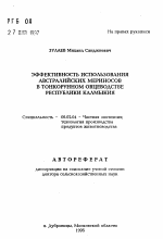 Эффективность использования австралийских мериносов в тонкорунном овцеводстве Республики Калмыкия - тема автореферата по сельскому хозяйству, скачайте бесплатно автореферат диссертации