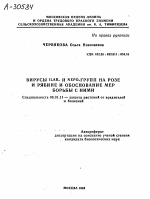 ВИРУСЫ ILAR- И NEPO-ГРУПП НА РОЗЕ И РЯБИНЕ И ОБОСНОВАНИЕ МЕР БОРЬБЫ С НИМИ - тема автореферата по сельскому хозяйству, скачайте бесплатно автореферат диссертации