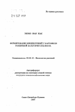 Формирование миниклубней у картофеля различной категории спелости - тема автореферата по биологии, скачайте бесплатно автореферат диссертации