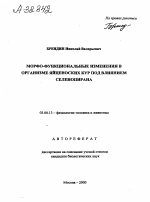 МОРФО-ФУНКЦИОНАЛЬНЫЕ ИЗМЕНЕНИЯ В ОРГАНИЗМЕ ЯЙЦЕНОСКИХ КУР ПОД ВЛИЯНИЕМ СЕЛЕНОПИРАНА - тема автореферата по биологии, скачайте бесплатно автореферат диссертации