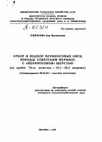 ОТБОР И ПОДБОР МЕРИНОСОВЫХ ОВЕЦ ПОРОДЫ СОВЕТСКИЙ МЕРИНОС С «МЕРИНОСОВОЙ» ШЕРСТЬЮ (НЕ ГРУБЕЕ 70-ГО КАЧЕСТВА — 18,1—20,5 МИКРОНА) - тема автореферата по сельскому хозяйству, скачайте бесплатно автореферат диссертации