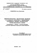 МИКРОСТРУКТУРА МОЛОЧНОЙ ЖЕЛЕЗЫ И КОЖНОГО ПОКРОВА У ЖИВОТНЫХ ОСНОВНЫХ ЛИНИЙ УРАЛЬСКОГО ЧЕРНО-ПЕСТРОГО СКОТА - тема автореферата по сельскому хозяйству, скачайте бесплатно автореферат диссертации