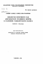 Биология почечного чая (Orthosiphon stamineus Benth.) в условиях Ташкентского оазиса - тема автореферата по биологии, скачайте бесплатно автореферат диссертации