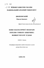 Белки плазматической мембраны эпителия тонкого кишечника крупного рогатого скота - тема автореферата по биологии, скачайте бесплатно автореферат диссертации