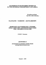 Морфолого-анатомическое строение представителей сапониноносных родов сем. Caryophyllaceae Juss. - тема автореферата по биологии, скачайте бесплатно автореферат диссертации