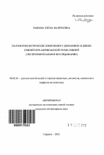 Патоморфологические изменения у домашних и диких свиней при африканской чуме свиней - тема автореферата по сельскому хозяйству, скачайте бесплатно автореферат диссертации