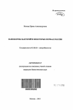 Наноформы бактерий в некоторых почвах России - тема автореферата по биологии, скачайте бесплатно автореферат диссертации