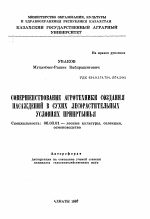 Совершенствование агротехники создания насаждений в сухих лесорастительных условиях Прииртышья - тема автореферата по сельскому хозяйству, скачайте бесплатно автореферат диссертации