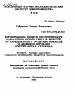 ФОРМИРОВАНИЕ МЯСНОЙ ПРОДУКТИВНОСТИ КАВКАЗСКОГО БУРОГО СКОТА И ПОМЕСЕЙ ОТ СКРЕЩИВАНИЯ С ГОЛШТИНО-ФРИЗСКОЙ И ШВИЦКОЙ ПОРОДАМИ (АМЕРИКАНСКАЯ СЕЛЕКЦИЯ) - тема автореферата по сельскому хозяйству, скачайте бесплатно автореферат диссертации